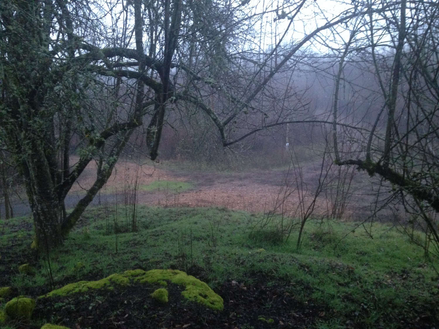 Wetlands