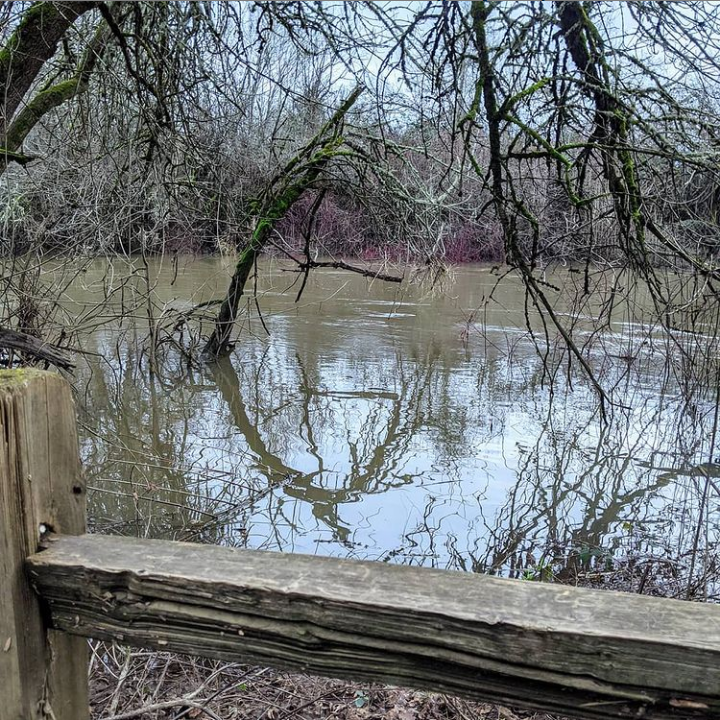 Wetlands