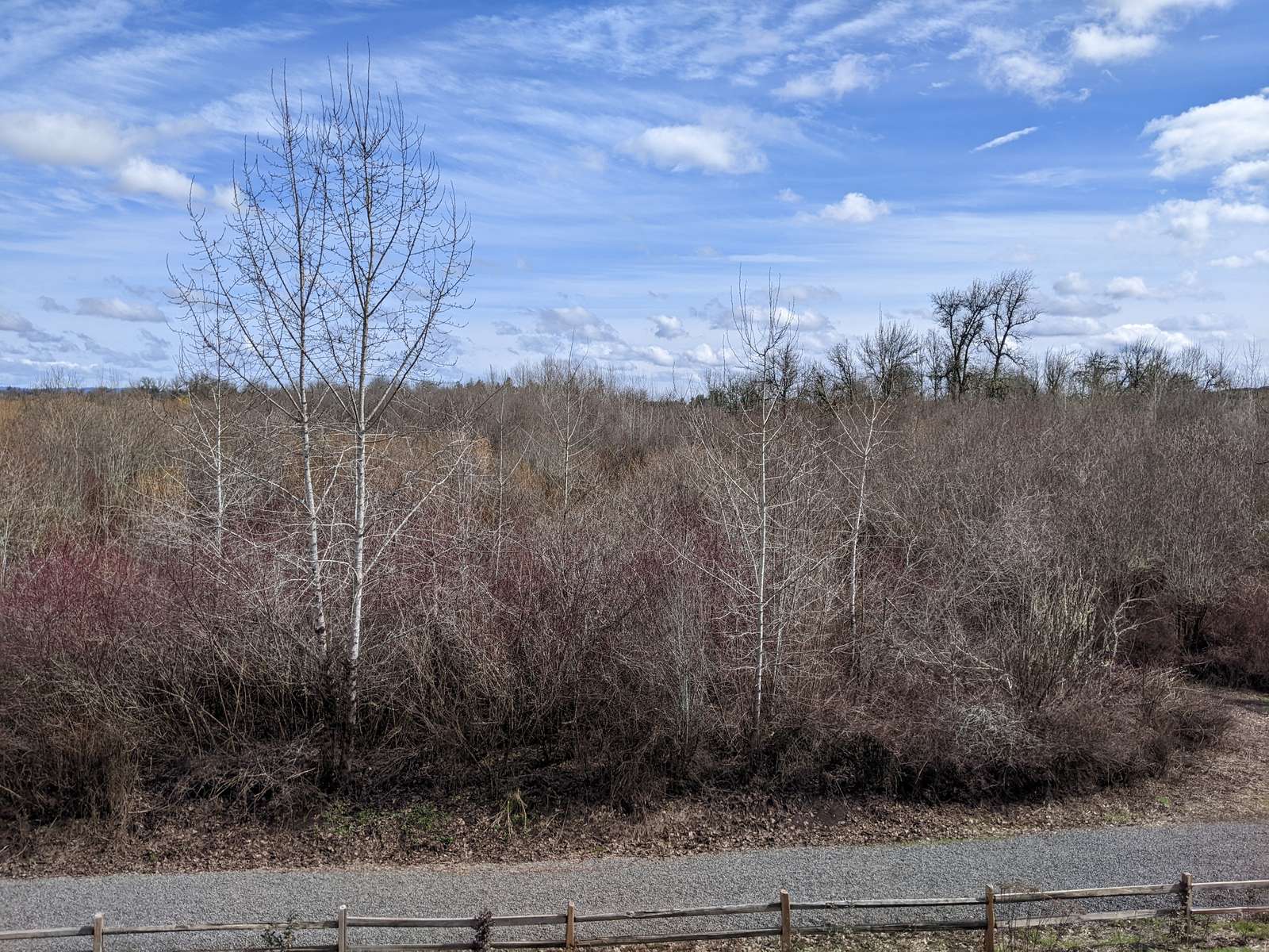 Wetlands